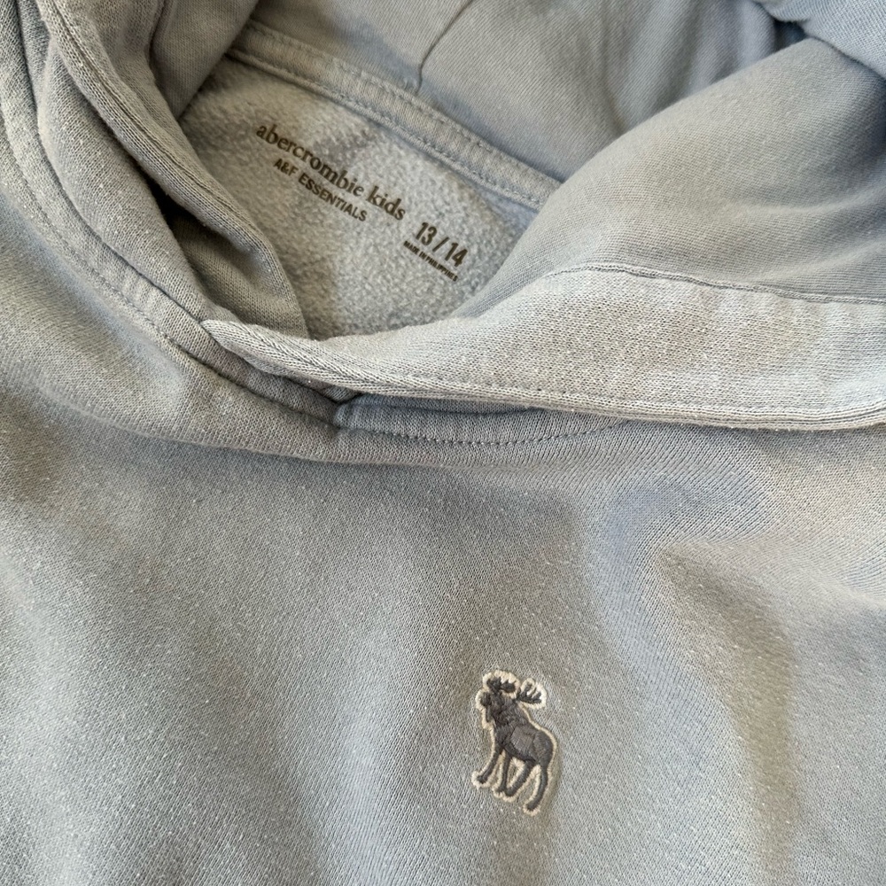 3 Abercrombie Kids size 13/14 Hoodies
